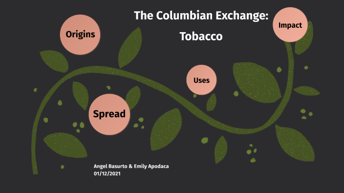 Tom Ford Tobacco Vanille Eau De Parfum 100ml