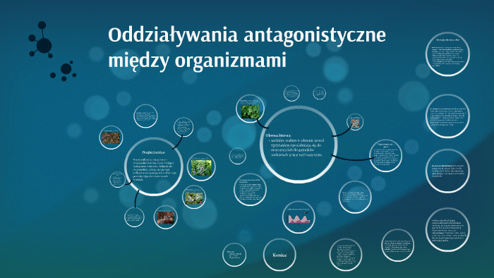 Oddziaływania antagonistyczne między organizmami by Martyna Żemier on Prezi