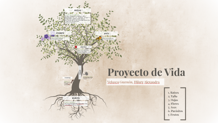Proyecto de Vida by Alexandra Velazco on Prezi
