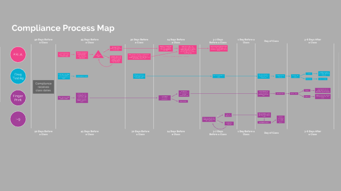 Compliance Process Map2 by Isabel Fray on Prezi