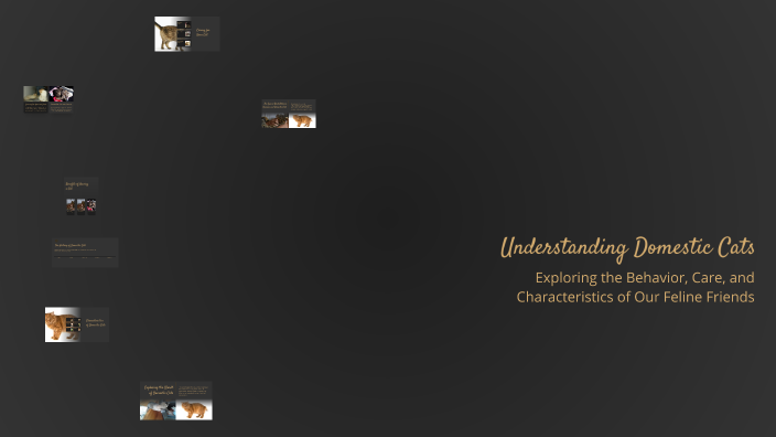 Understanding Domestic Cats by Ivetka on Prezi