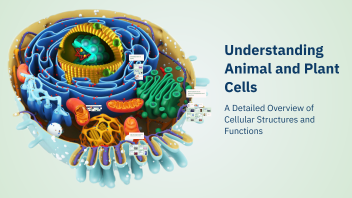 Understanding Animal and Plant Cells by Bookie Mac on Prezi