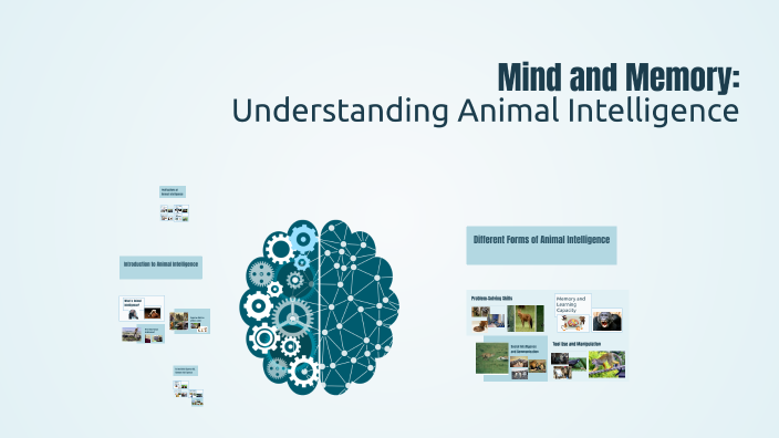 Mind and Memory: Understanding Animal Intelligence by Xx_Minx ...