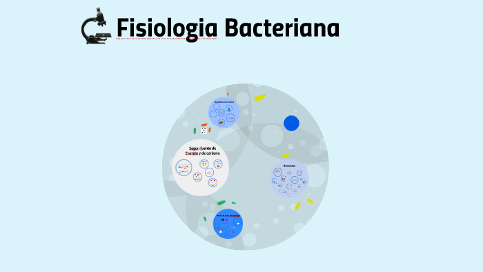 Fisiologia Bacteriana By Alfonso Garcia On Prezi