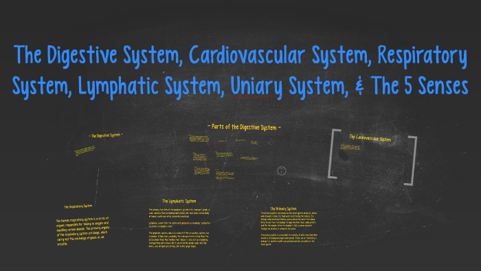 The Digestive System, Cardiovascular System, Respiratory Sys by