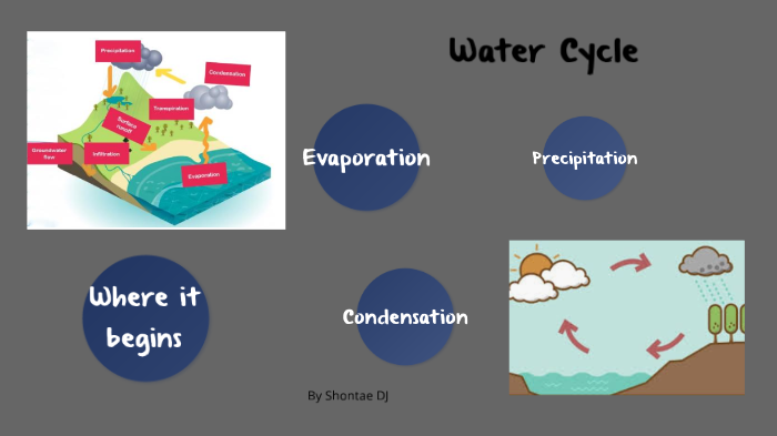 Year 7 Water Cycle by shontae D.J. on Prezi