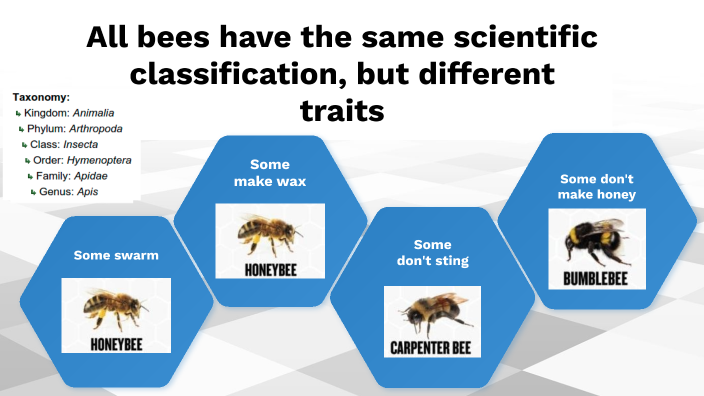 Recreate the Visual by NEHEMIAH KAUFMAN on Prezi