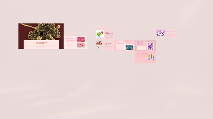 Understanding HIV: The Chain of Infection by Isabella Velazquez - 2027 ...