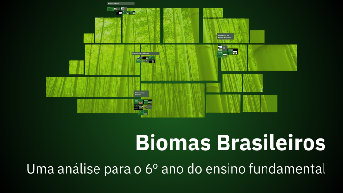 Biomas Brasileiros by RAFAEL GOMES BARROS on Prezi