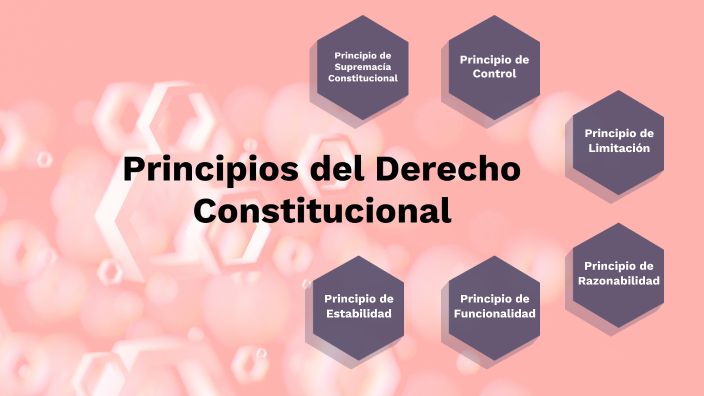 Principios Del Derecho Constitucional By MAYARI DESCIREE GUZMAN NOVA On ...