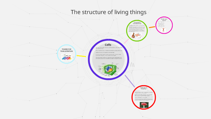 the-structure-of-living-things-by-david-pascual-r-os