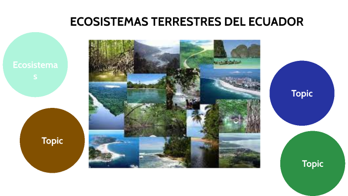 ECOSISTEMAS by PAOLA ANDI on Prezi