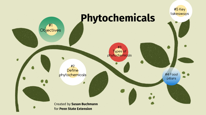 Phytochemicals By Susan Buchmann On Prezi