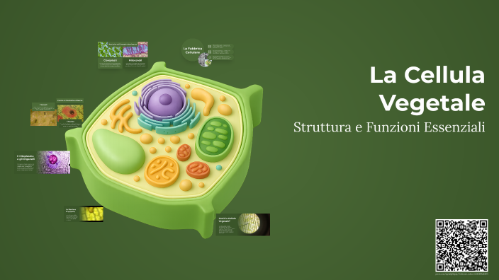 La Cellula Vegetale by Giusy Nunziata on Prezi