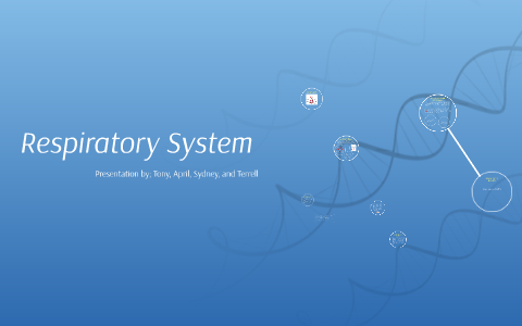 Respiratory System by Tony E on Prezi