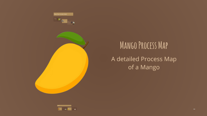 Mango Process Map by Krishn Patel on Prezi