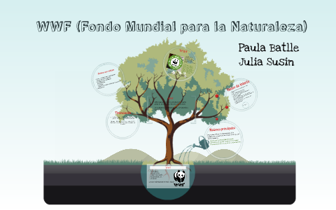 WWF (Fondo Mundial para la Naturaleza) by Julia Sp