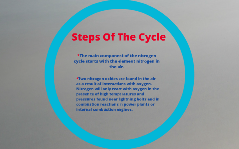 Nitrogen Cycle by Daniel Alejandro Martinez Herrera on Prezi