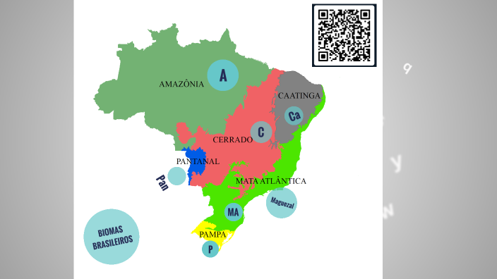 Biomas brasileiros by Luiza Moreira on Prezi