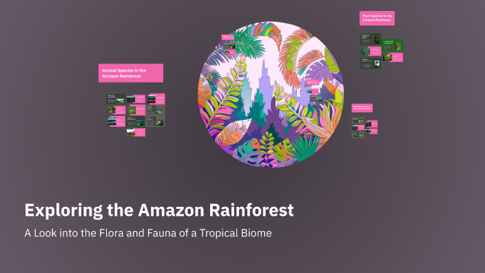Exploring the Amazon Rainforest by Donoven Coker on Prezi