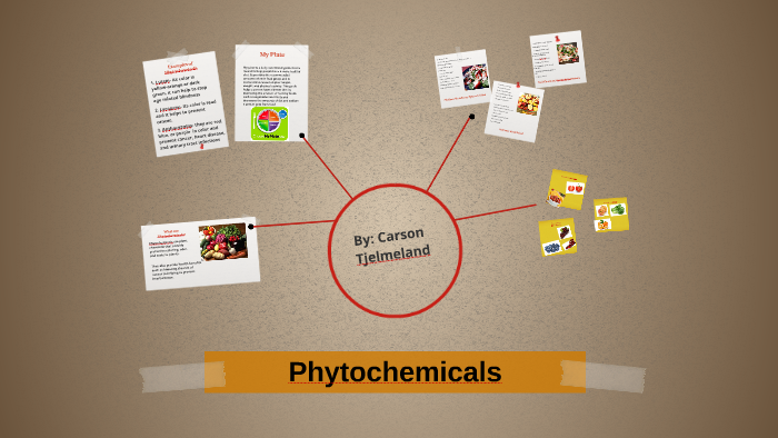 Phytochemicals by Carson Tjelmeland on Prezi
