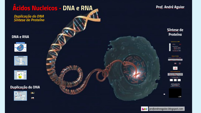 acidos nucleicos dna e rna by andre