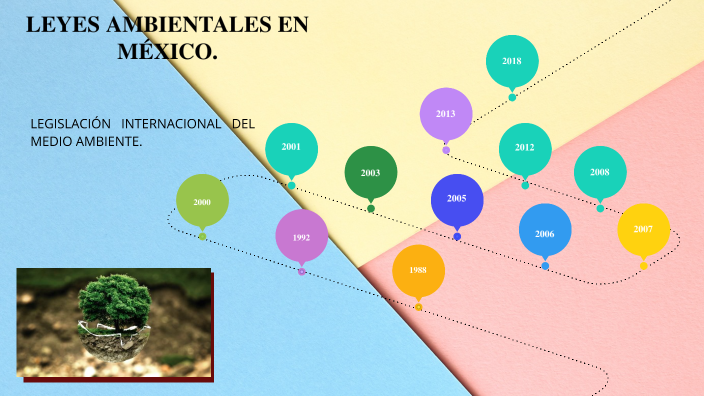LEYES AMBIENTALES EN MÉXICO by Rocio Vicente Maldonado on Prezi