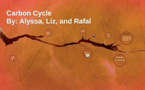 Carbon Cycle by Alyssa Rasch on Prezi