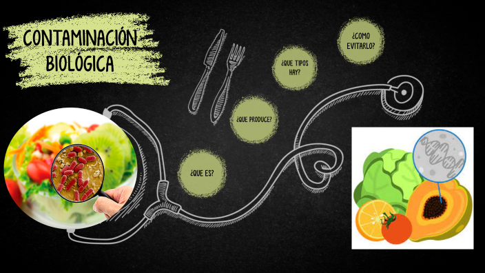 Contaminacion Biologica En Los Alimentos By Camila Castillo On Prezi 0630