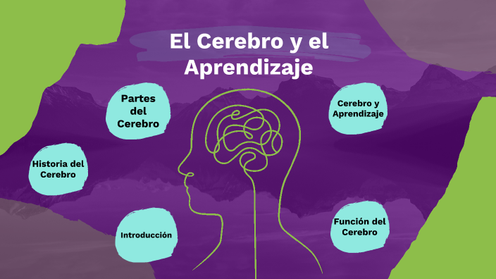 El Cerebro y el Aprendizaje by YADIRA JANETH ALVAREZ LLOCLLA on Prezi