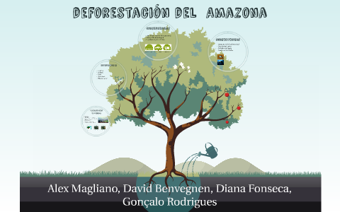 Deforestación del Amazona by Alex Magliano on Prezi
