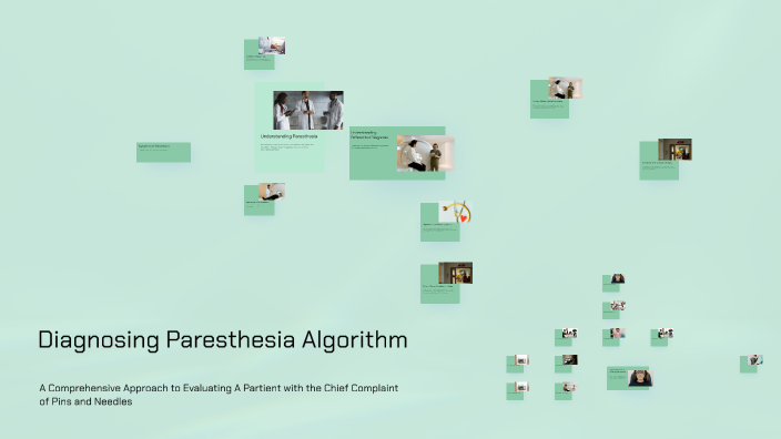 Diagnosing Paresthesia Algorithm by Shelby Logan on Prezi