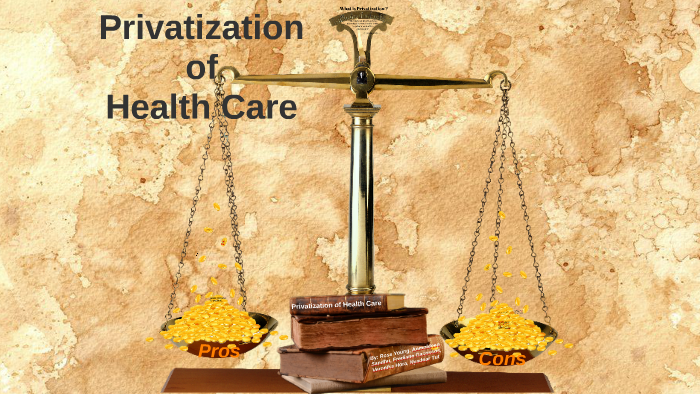 essay privatization health care