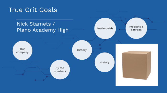 Tg Project Example TG Template by N S on Prezi