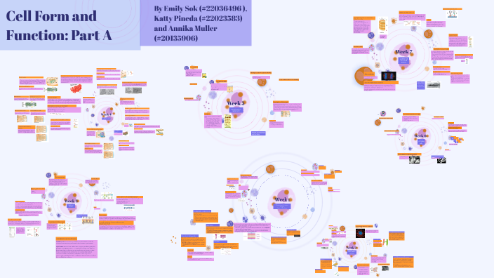 Cell Form and Function by Annika Muller on Prezi