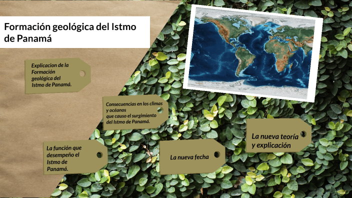 Consecuencias De La Formacion Del Istmo De Panama