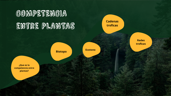 competencia entre plantas by Daniel Ostáriz Torres on Prezi