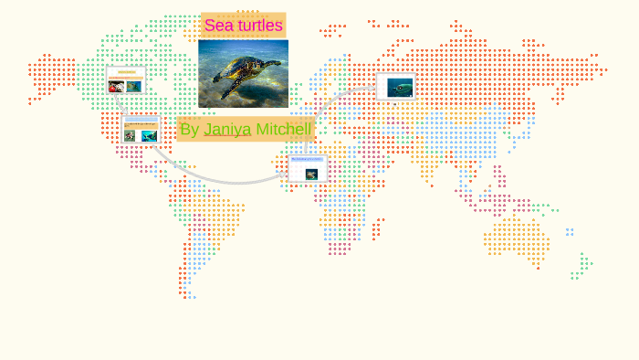 Sea turtles by Dayna Harkey on Prezi