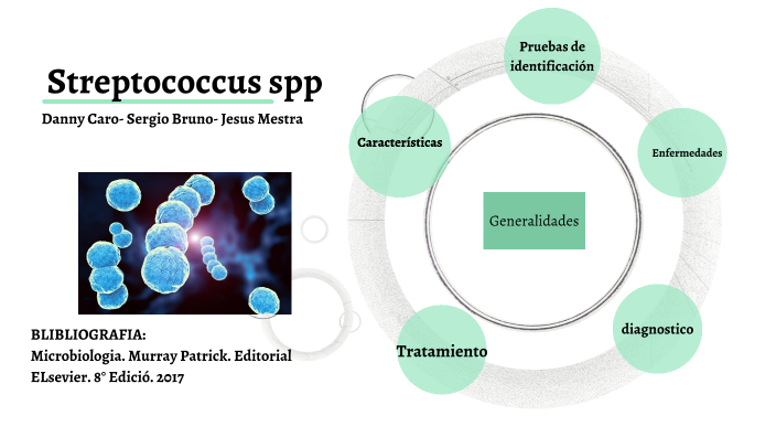 Streptococcus spp by Jesus Mestra on Prezi