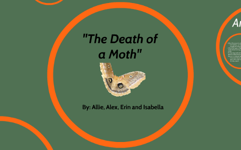 virginia woolf the death of the moth rhetorical analysis