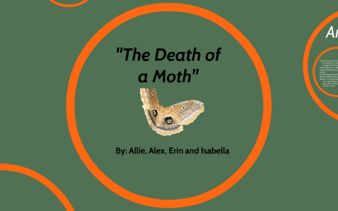 the death of the moth symbolism