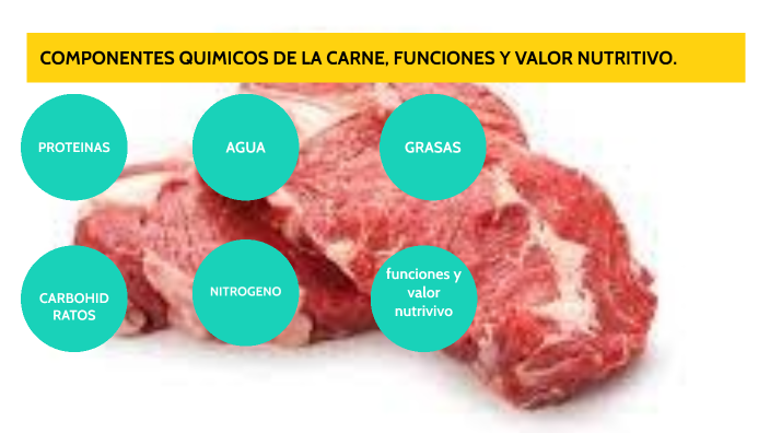 componentes quimicos de la carne by Yadira Garduno on Prezi