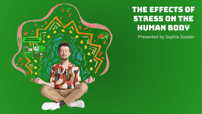The Effects of Stress On The Human Body by Sophia Soeder on Prezi