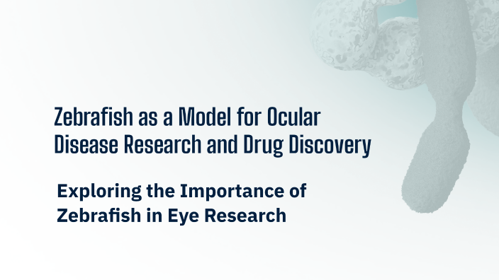 Zebrafish as a Model for Ocular Disease Research and Drug Discovery by ...