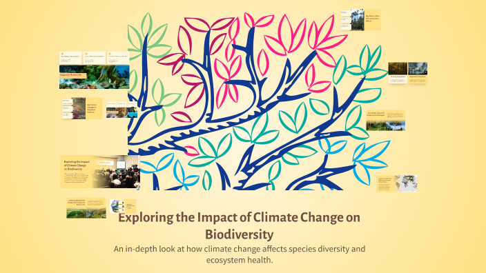 Exploring the Impact of Climate Change on Biodiversity by laptop ...