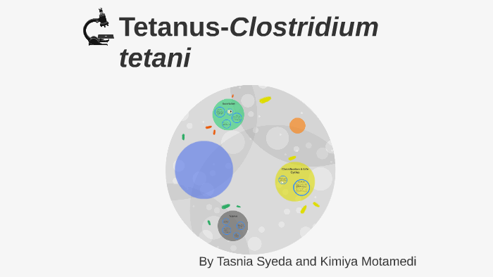 tetanus diagram