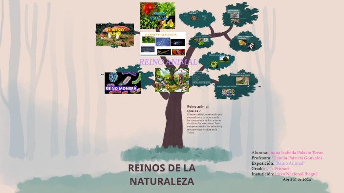 PRESENTACION REINOS DE LA NATURALEZA by lida cecilia tovar mirquez on Prezi