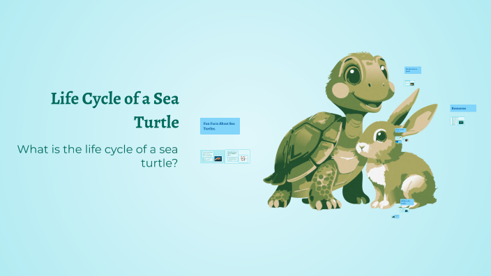 The Amazing World of Sea Turtles by Emma Plucinski on Prezi