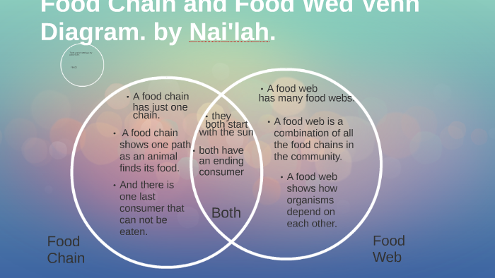 Food Chain Vs Food Web Venn Diagram