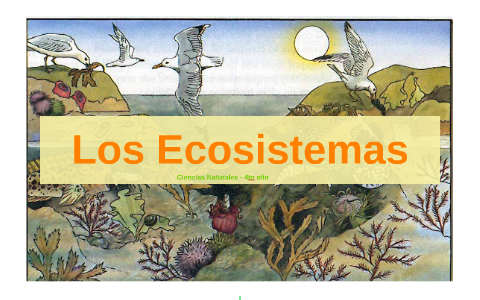 Los Ecosistemas by Valeria Loaiza on Prezi